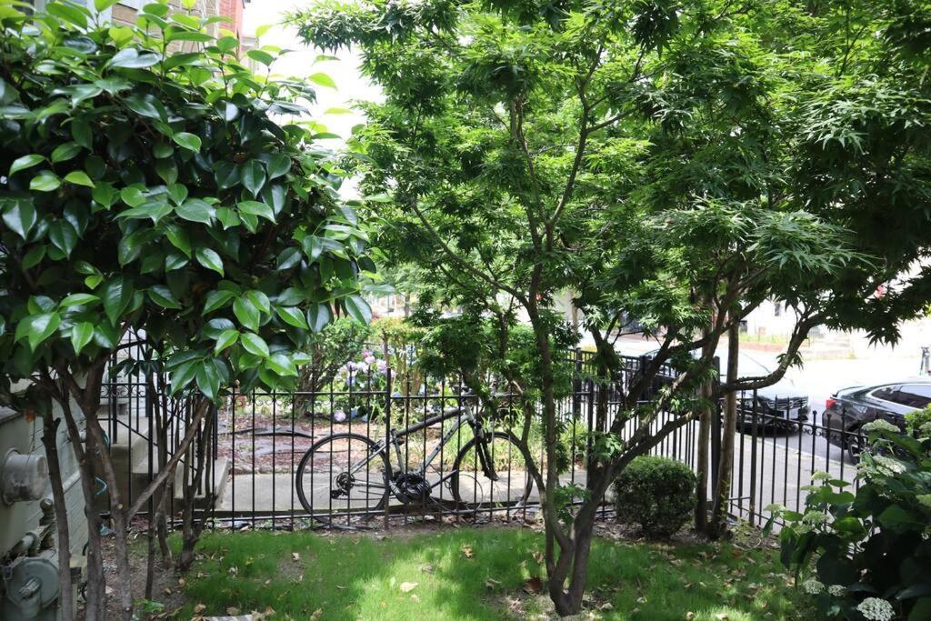 3-Bedroom House With Cute Patio Explore Dc On Foot Washington Exteriör bild